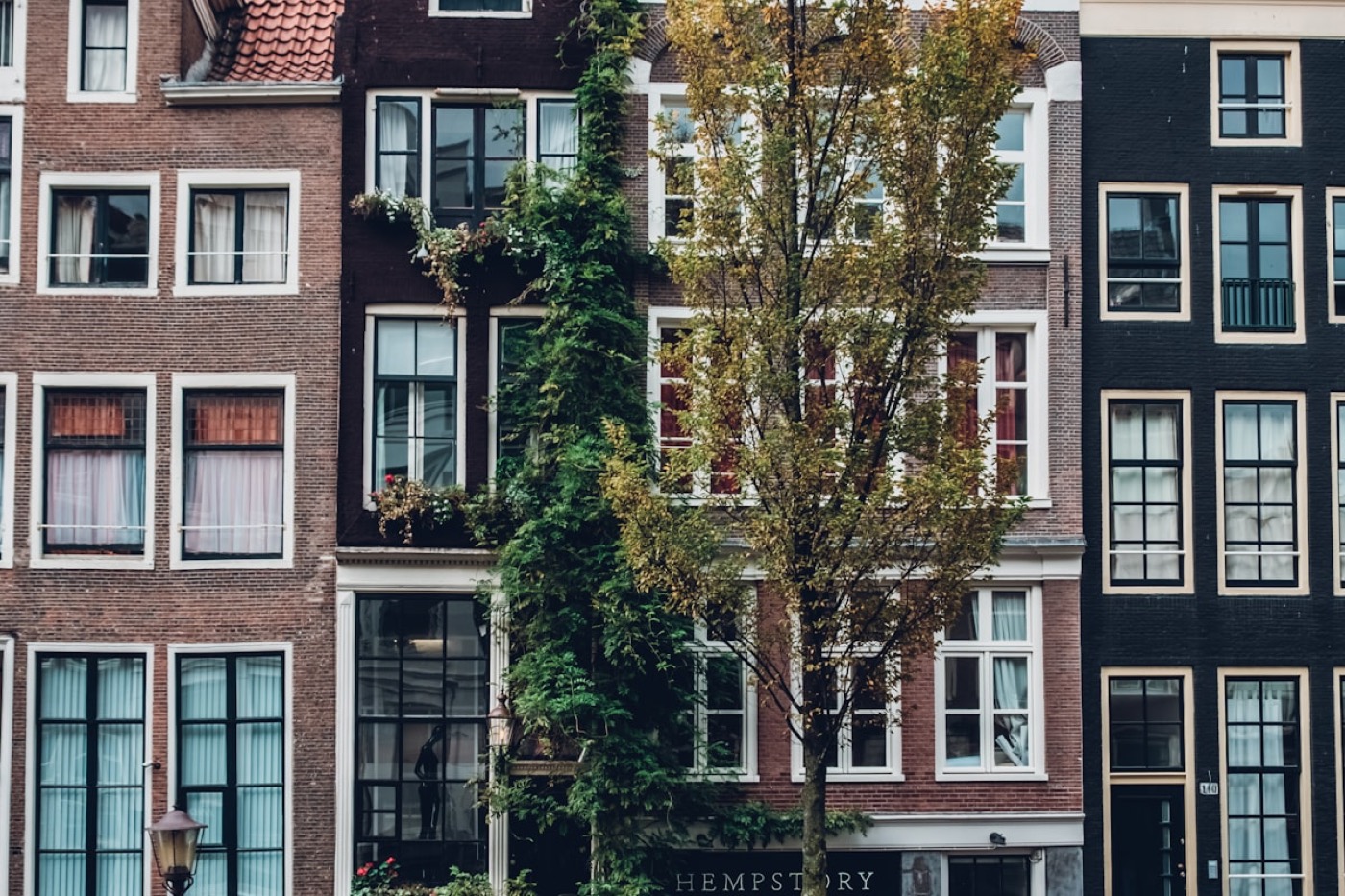 Woonstraat met Nederlandse huizen