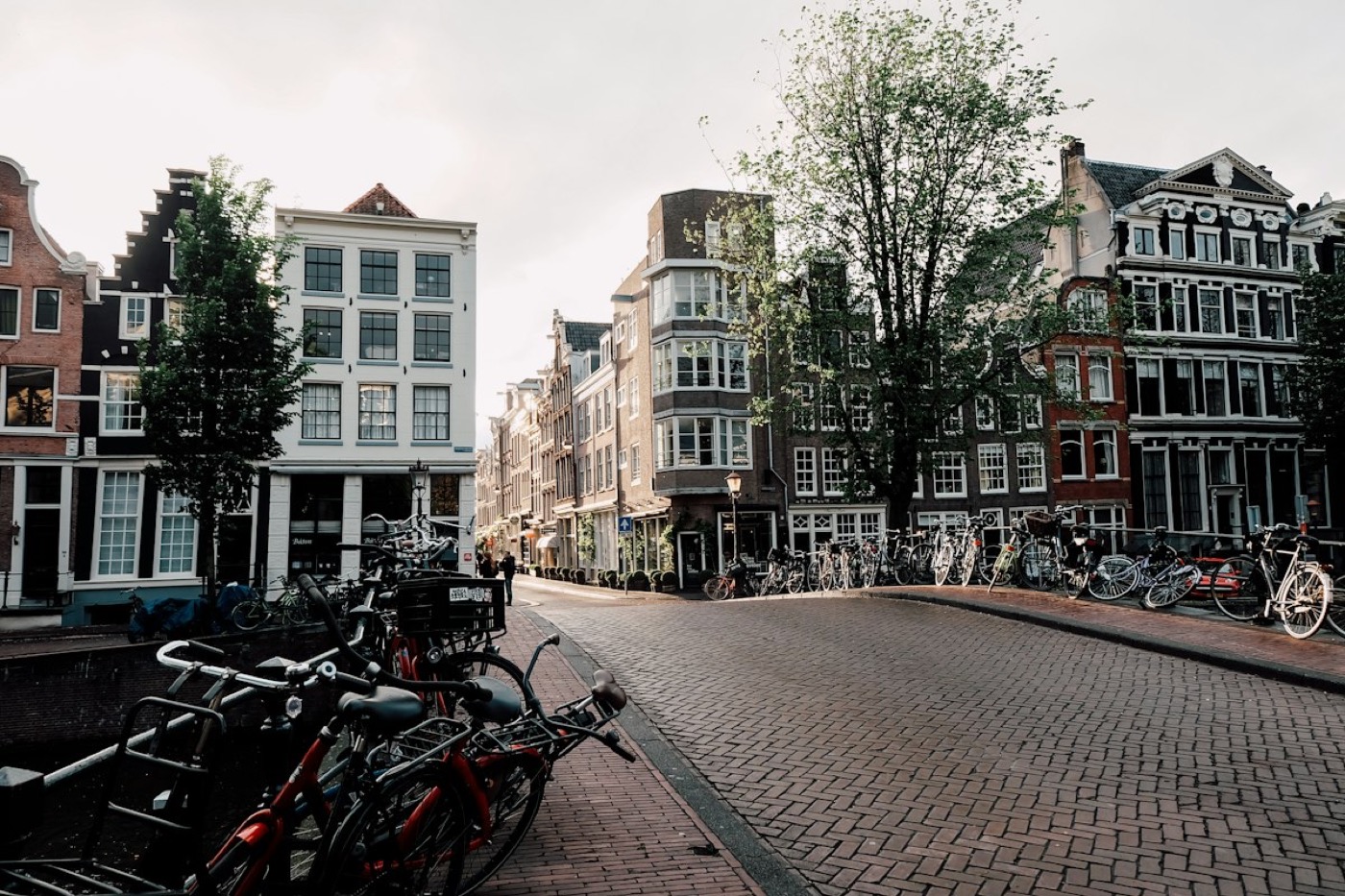 Fietsen voor witte woningen in een Nederlandse straat